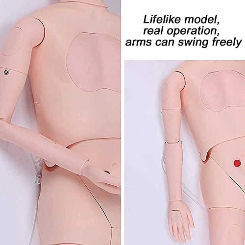 5.7ft גודל חיים טיפול מטופלים Manikin Manikin גברים ונשים הניתנים להחלפה ניתנים להחלפה CPR סימולטור סימולטור