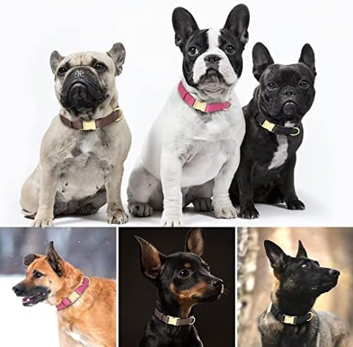 צווארון כלבי עור מקורי של Beirui עם אבזם מתכת שחרור מהיר, צווארון עור נוח לכלבים קטנים בינוניים גדולים,