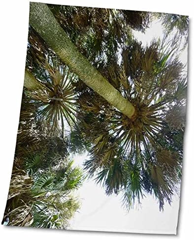 עצי פלורן 3 דרוזים - מתחת לכפות הידיים - מגבות