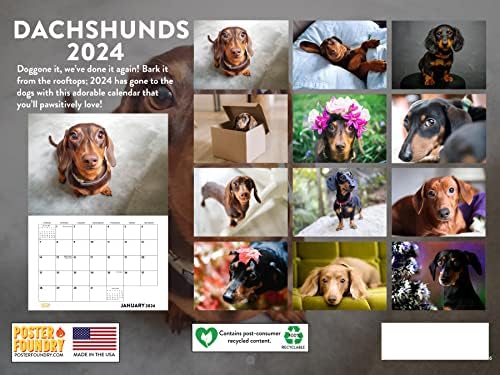לוח השנה של Dachshund 2024 לוח קלנדר קיר מתנות לנשים לגברים ילדים ואוהבי כלבי וויינר