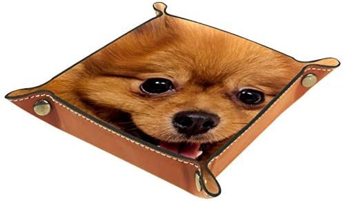 Lyetny חמוד שפיץ כלב גור מארגן כלבים מגש אחסון קופסת מיטה מיטה קאדי שולחן עבודה מגש החלפת מפתח ארנק קופסת מטבעות