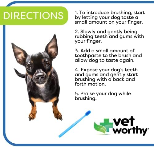 וטרינר ראוי מברשת שיניים לכלבים-עבור נקי, בריא שיניים וחניכיים-לרענן כלבים נשימה-להפחית פלאק-זווית ראש עיצוב