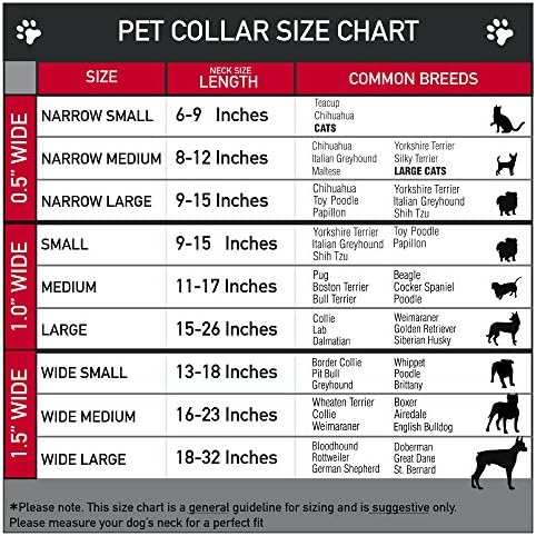 צווארון כלבים מרטינגה -אבזם - אנה קפואה/אלזה/אולף תנוחות/סצינות סגולות - 1.5 רוחב - מתאים לגודל צוואר בגודל