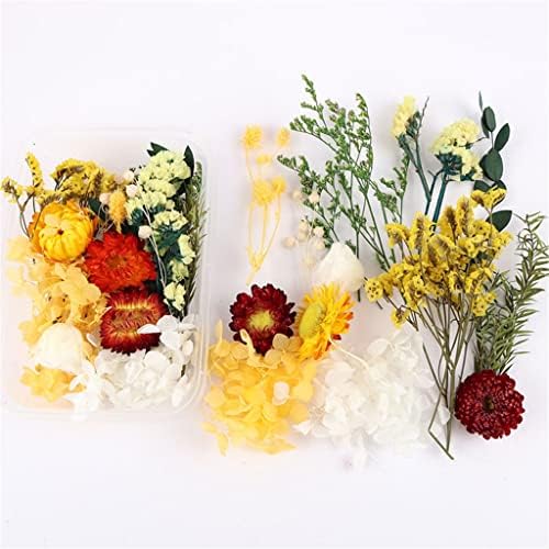 ZYJBM 4 קופסא פרחים מיובשים שרף דקורטיבי צמחים יבשים אמיתיים מייצרים מסגרת תמונה אביזרי DIY מזכרת DIY