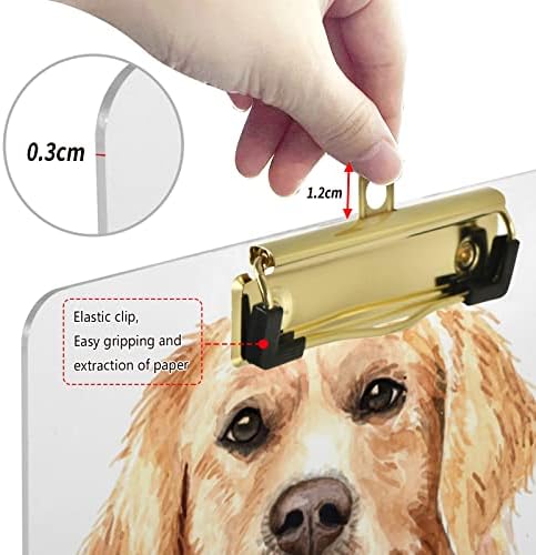 גולדן רטריבר כלב לוחות פלסטיק עם מתכת קליפ מכתב גודל לוח נמוך פרופיל קליפ לוחות לתלייה דקורטיבי