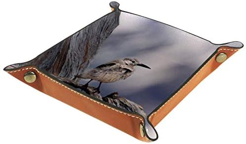 Lorvies Bird Bork Cube Cube Cobics Covers Callings for Office Home