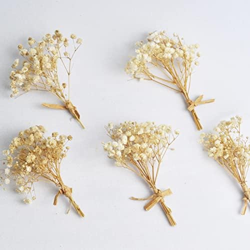 סט פרחים מיובשים אמיתיים של L'Brevoga, חיננית הידראנגאה של צמח יבש למלאכת שרף נרות DIY