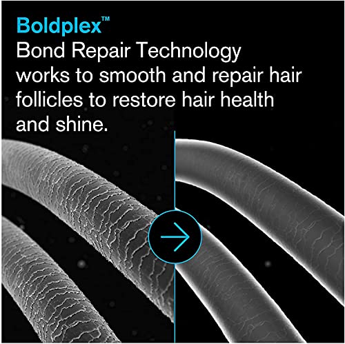 BOLDPLEX 5 מחזקת קשר מרכך חלבון לשיער פגום יבש - פורמולה לחות לסוגי שיער מתולתלים, יבשים, צבעוניים,