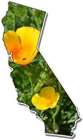 GT גרפיקה קליפורניה פרגים צהובים יפה - מדבקה ויניל מדבקות אטומות למים