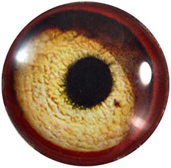 30 ממ עין זכוכית נשר אדום יחיד עבור פסלי פשיטות או תכשיטים של תכשיטים