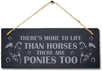 יש יותר לחיים מאשר סוסים חקוק תליית צפחה לשפוך שלט לחיות מחמד סימן