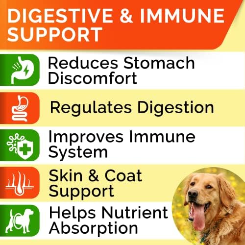 פרוביוטיקה לכלבים מטפלת באוכלים בררנים-אנזימי עיכול + פרה-ביוטיקה-תוסף סיבים לעיסה - אלרגיה, שלשולים,