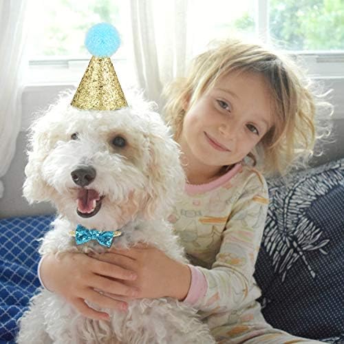 כובע יום הולדת של כלב חיית מחמד לחיית המחמד, כובע מסיבת חיות מחמד כובע קשת פרוץ צווארון עניבת צווארון