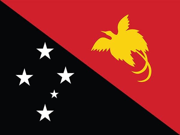 מגנט דגל גינאה החדשה של פפואה