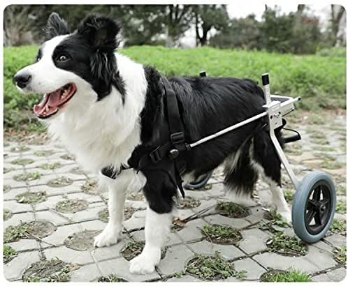 כסא גלגלים לכלבים קל משקל של יקנה לשיקום רגליים אחוריות עגלת כלבים עם נכים עגלת מחמד ניידות מחמד מתכווננת
