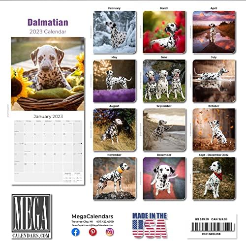 2022 2023 לוח השנה של דלמטי - גזע כלבים לוח שנה קיר חודשי - 12 x 24 פתוח - נייר עבה ללא דימום - מתנה -