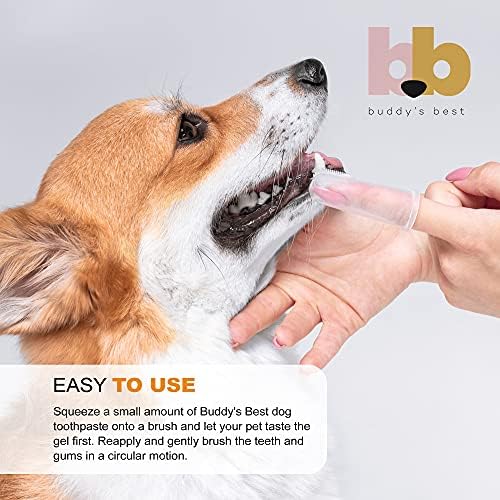 טיפול שיניים לכלבים הטוב ביותר של באדי, משחת שיניים לכלבים, ג ' ל לטיפול בפה לניקוי שיניים ונשימה