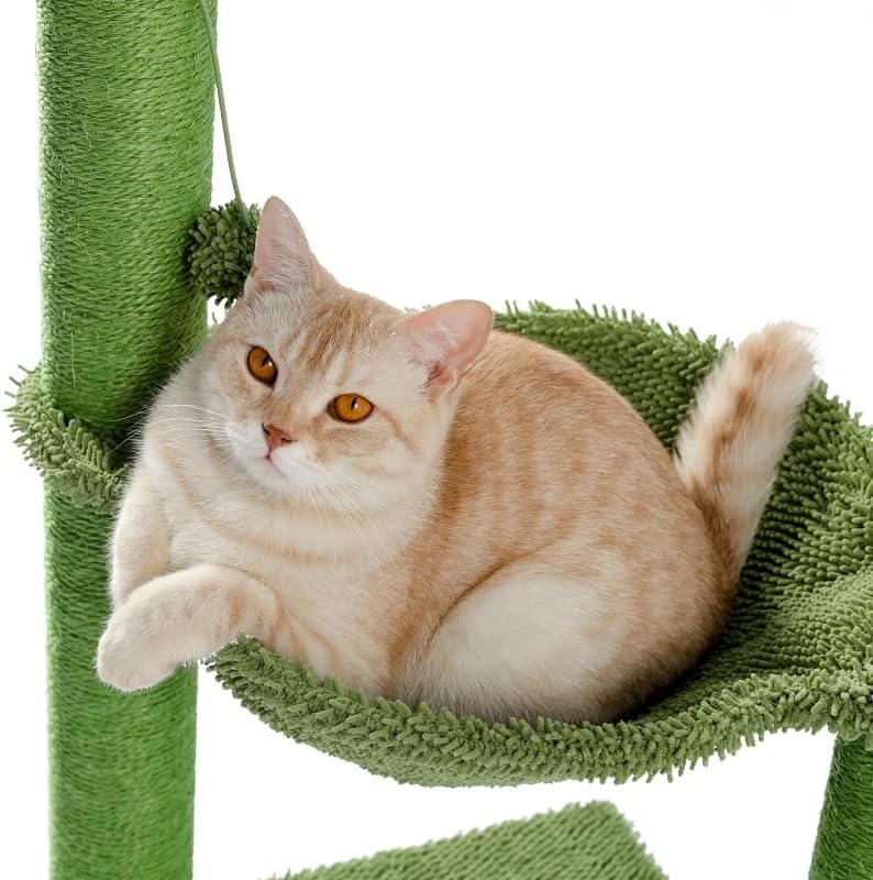 קקטוס חתול גרוד עם סיסל חבל חתול גרדן עץ מגבת עם נוח מרווח ערסל חתולים טיפוס מסגרת