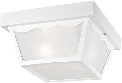 ווסטינגהאוס תאורה 6697500 מסורתי אחד-אור חיצוני סומק-הר מתקן, לבן גימור על פוליפרופילן, חלבית זכוכית פנלים