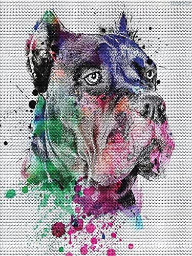 ערכות ציור יהלומים של DIY 5D למבוגרים, קינה קורסו צבעי מים צבעי יהלום ציור כלב חמוד כלב מלאכה מלאת קריסטל