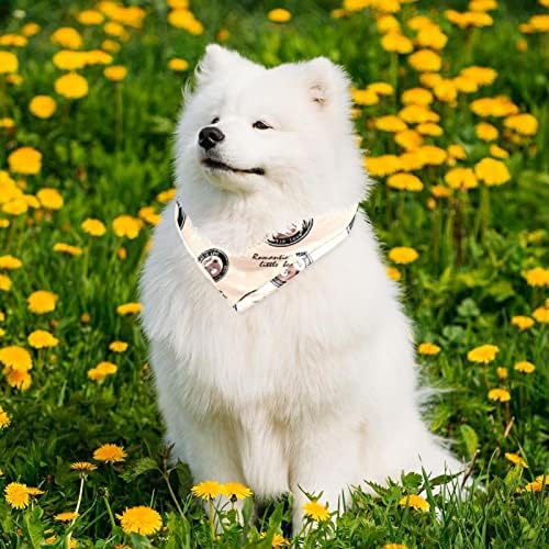 כלב בנדנה - 2 חבילות חיית מחמד אידיאלית, צעיף צוואר יומי של צוואר לחתולי כלבים קטנים עד גדולים, דפוס עיגול