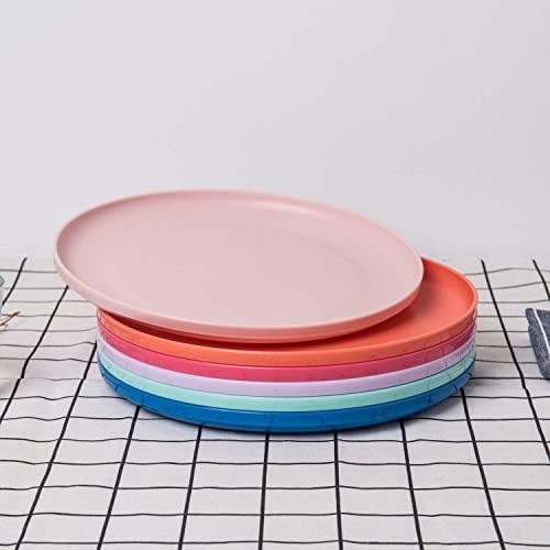 צלחות ארוחת ערב פלסטיק צבעוניות בעלות עמידה וניתנת לשימוש חוזר של 9.75 אינץ