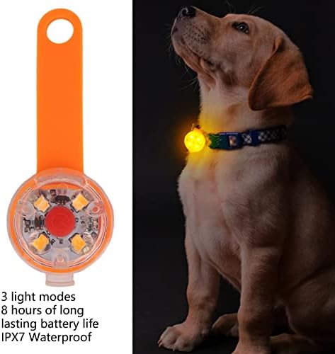 צווארון לחיות מחמד LED אור אטום למים USB נטענת IPX7 צווארון כלב קסם 3 מצבי אור צווארון כלב אור לליכה לילה רכיבה
