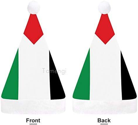חג המולד סנטה כובע, פלסטין דגל חג המולד חג כובע למבוגרים, יוניסקס נוחות חג המולד כובעי לשנה חדשה חגיגי