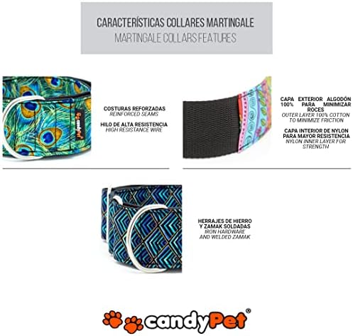 Candypet Martingale צווארון כלבים - דגם פרת משה רבנו - Multicelor - M