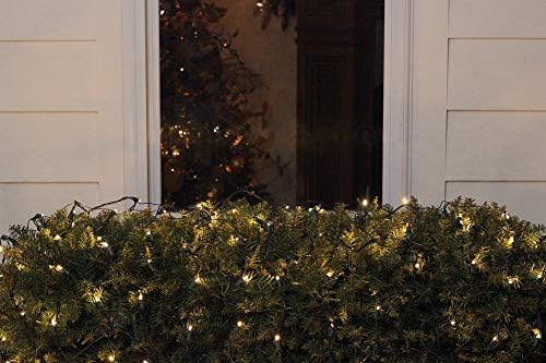 Northlight 4 'x 6' לבן חמים LED זווית רחבה נטו נורות חג מולד, חוט ירוק
