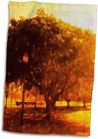 עצי פלורן 3 אתרים - עצים חומים צהובים כתומים בפארק - מגבות