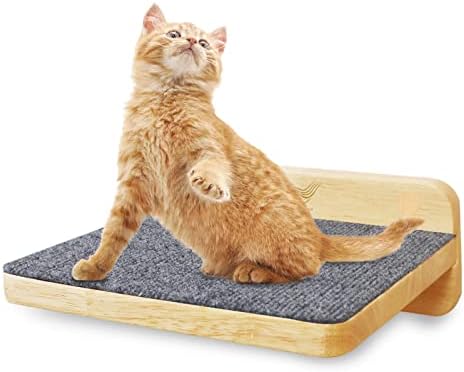 מולי & נמו חתול טיפוס מדף קיר רכוב, חתול טיפוס צעד, עץ חתול מדרגות עם הרגיש עבור חתול טיפוס ולשחק