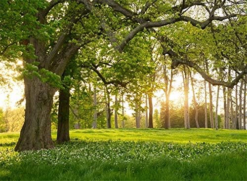 7 * 5 רגל אביב רקע כפרי יער עצי תפאורות צילום פורח פרחים ירוק כר דשא טבע ויניל תמונה רקע ילדים