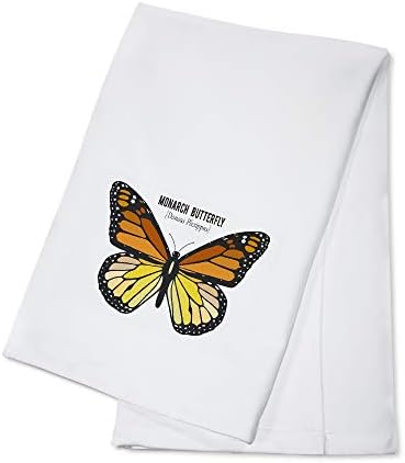 Press Press Press Monarch Butterfly, דגימה