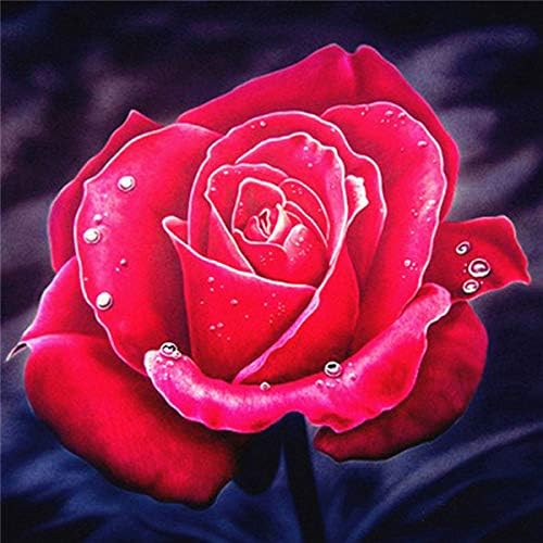 QGHZSCS צבע לפי מספרים ציור דיגיטלי פרחים ציור בעבודת יד תמונה ורד תמונת בית מלאכת מלאכה מתנה A7