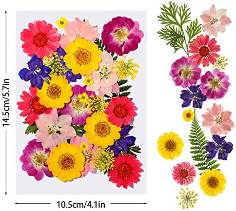 180 חתיכות פרחים לחוצים מיובשים ומדבקות שקופות של פרפר מוגדרות עם פינצטה, עלים פרחים יבשים מעורבים טבעיים לתליוני