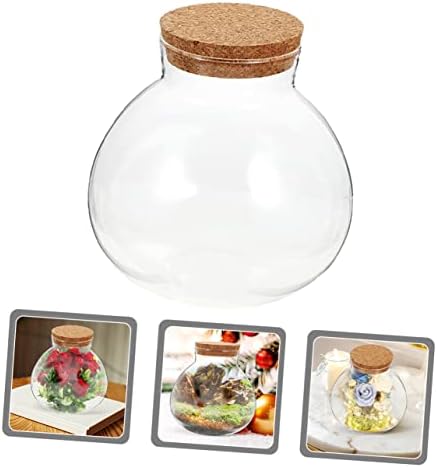 חריץ 5 יחידות צמחים מעצבים מיכלי זכוכית מיני מכולות מיני זכוכית בקבוק אקולוגי בקבוק אחסון בקבוק זכוכית