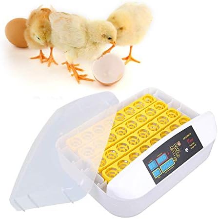 103234536 32 דיגיטלי ביצת חממה אוטומטי הפיכת טמפרטורת בקרת עופות האצ ' עבור תרנגולות ברווזים שליו