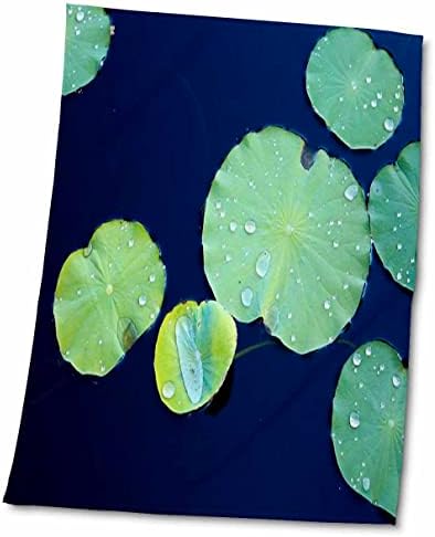 3drose Florene Décor II - רפידות שושן ירוקות צפות על מים כחולים כהים - מגבות