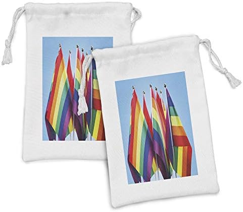 סט כיס גאווה לונא -נדיב סט של 2, אהבה זוכה בתמונה עם נושאים של דגלי הקשת הלהטבים הקטנים של קשת זכויות החברה ההומוסקסואלית,