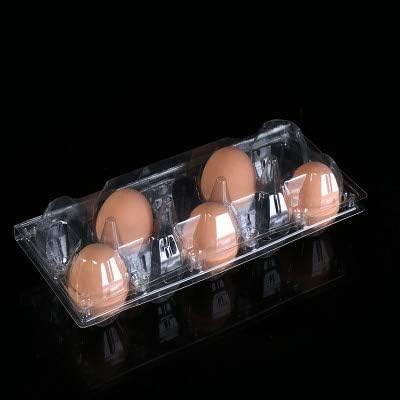 10 חורים מיכל ביצי פלסטיק שקוף ביצת אריזת קופסות אחסון 240 על 102 על 65 ממ