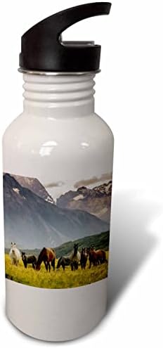 3 דרוז סוסי בר בבסיס הרים, צ'ילה דרומית - בקבוקי מים