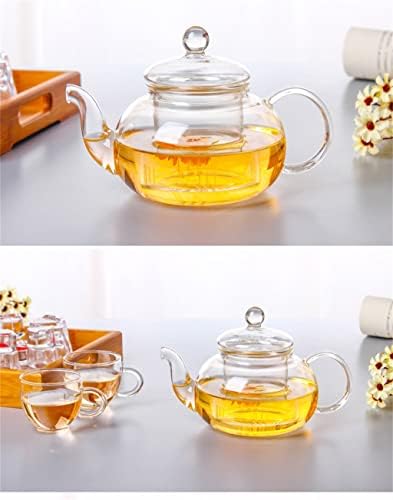 SDFGH עמיד בפני חום סיר תה פרח, קומקום פרחי בקבוק מעשי עם קפה צמחים עלה תה תה