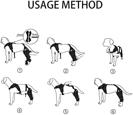 סד תמיכה לברך כלב ריסורי לברה מספק דיספלסיה של מפרק הירך ומצבים אחרים המשפיעים על מפרק הירך,סד