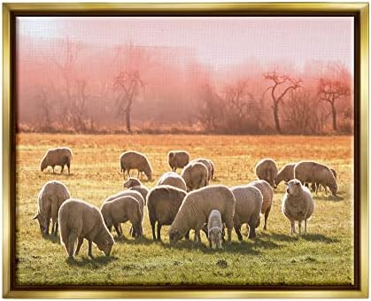 סטופל תעשיות כבשים עדר מרעה חם ורוד שקיעה כפרי כר דשא צף ממוסגר קיר אמנות, עיצוב על ידי דפני פולסלי