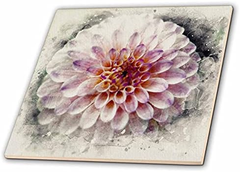 3רוז ורוד רך וסגול שולי תמונת פרח דליה של צבעי מים-אריחים
