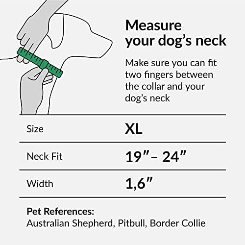 Collardirect Martingale צווארונים לכלבים דפוס פרחוני כבד בטיחות נשית אילוף ניילון אימוני צווארון