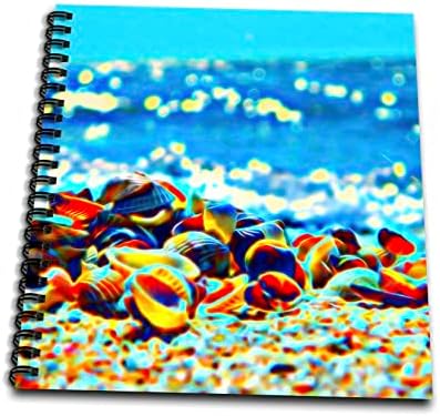 3drose Seashells פסיכדלי צבעוני על תמונת החוף של האור. - ציור ספרים