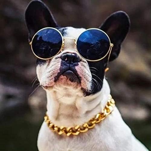 קישור יאמסדה קובני שרשרת זהב עבה כלבים חיות חיות מחמד צווארון בטיחות