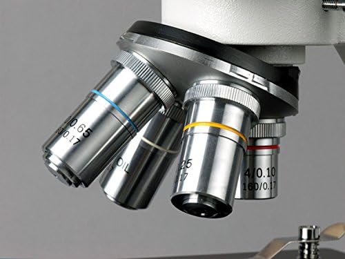 מיקרוסקופ בינוקולרי מורכב של אמסקופ ב100ב, הגדלה של פי 40-2000, ברייטפילד, תאורת טונגסטן, מעבה אבה, שלב רגיל